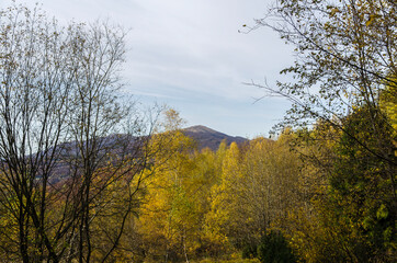 Bieszczady panorama z połoniny Caryńskiej  © wedrownik52