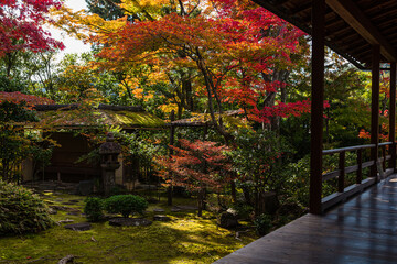 日本　京都、大法院の紅葉