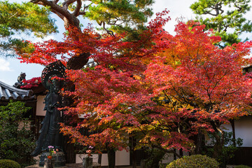 日本　京都、妙心寺の霊雲院の仏像と紅葉