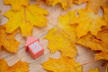 Naklejka na ściany i meble Little toy house next to autumn leaves on a table