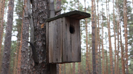 birdhouse