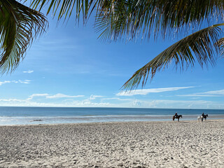 horse riders in distance on white sandy tropical beach fringed by palm trees