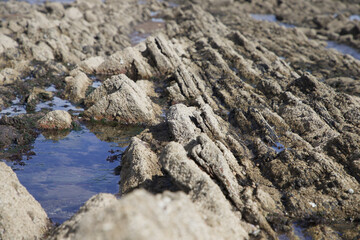 Rugged rocks on coastline exposed at low tide 