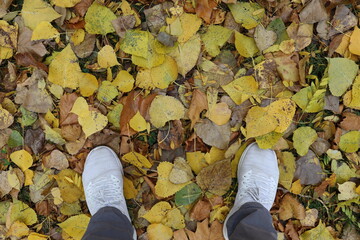 die wei&szlig;en sportschuhe und graue jeans eines jungen mannes auf verwelkte bunte Baumbl&auml;tter im Herbst 