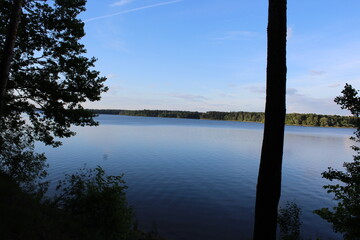 reflection of trees on lake