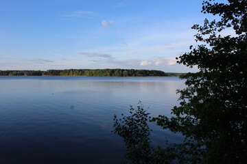 reflection of trees on the lake