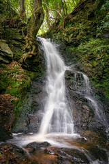Fototapeta na wymiar Roe Valley Waterfall