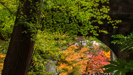 日本　京都、南禅寺の水路閣と紅葉