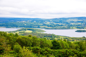 Ireland landscape. Magical Irish hills. Green island with sheep and cows on cloudy foggy day. Northern Ireland, County Donegal