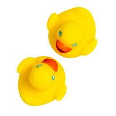 two yellow ducks on white background
