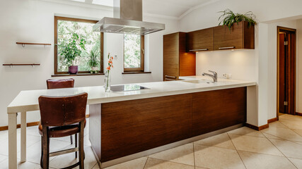 Contemporary interior of kitchen in luxury apartment. Wooden kitchen set. Tile floor. Private house.