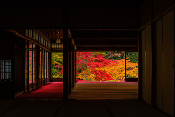 日本　京都、天授庵の額縁庭園の紅葉