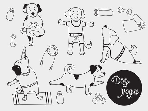 Yoga pets. cute puppies stand in an asana and go in for sports. Dog yoga - a set of pictures. Outline. Vector illustration 
