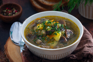 Homemade soup with wild mushrooms and red lentils, horizontal