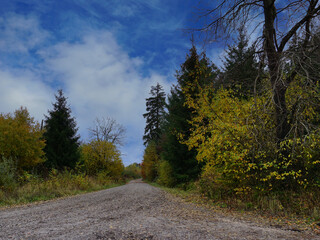 Fototapeta na wymiar Wanderweg im Hils bei Delligsen im Herbst