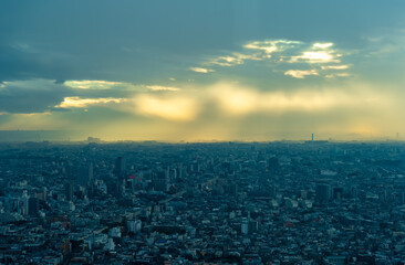 東京都新宿区西新宿にある東京都庁から見た夕方の東京の都市景観