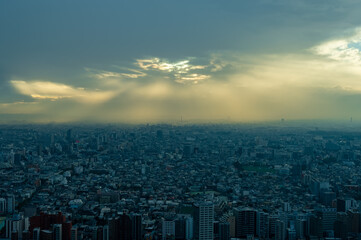 東京都新宿区西新宿にある東京都庁から見た夕方の東京の都市景観