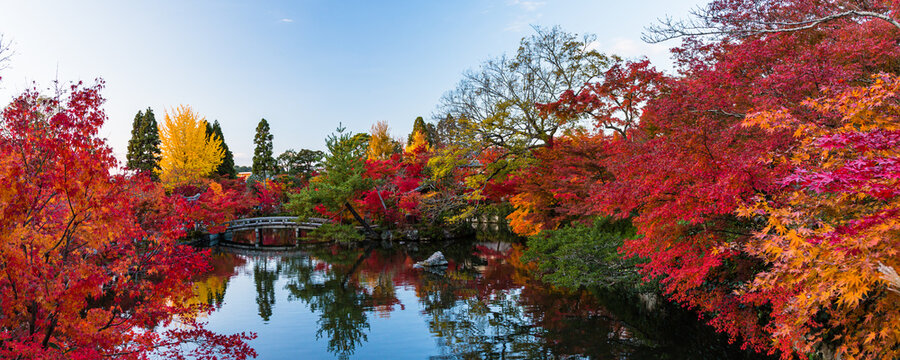 Hojo 이미지 – 찾아보기 2,875 스톡 사진, 벡터 및 비디오 | Adobe Stock