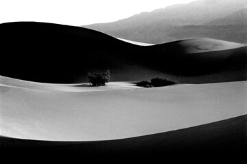 Desert Sand Dunes Death Valley National Park   