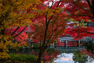日本　京都、永観堂の放生池と紅葉