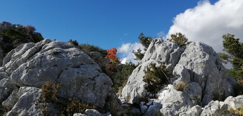 Crêtes du Bauroux  1