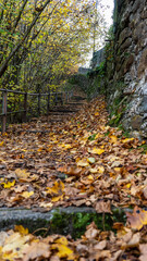 Walking on a beautiful path during fall season, Montreux, Switzerland. 