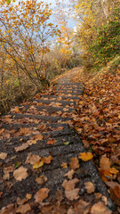 Walking on a beautiful path during fall season, Montreux, Switzerland. 