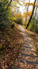 Fototapeta premium Walking on a beautiful path during fall season, Montreux, Switzerland. 