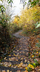 Walking on a beautiful path during fall season, Montreux, Switzerland. 