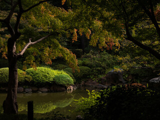紅葉し始めた木々と日本庭園