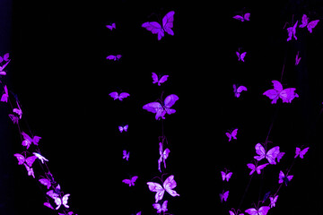 Obraz na płótnie Canvas purple light butterflies