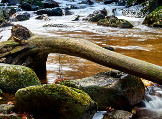 Fototapeta premium Bald tree trunk without bark lies on rounded stones over a deliberately defocused stream