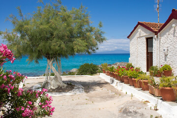 Greek summer beach with tree and traditional houses greek vacations island  tourism
