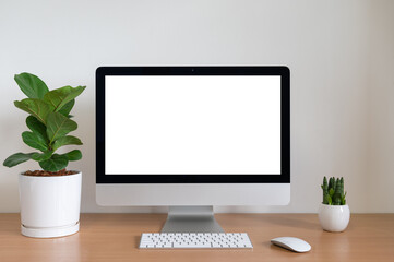 Blank screen of All in one Computer with Fiddle Fig and Sansevieria cylindrica Plants on table