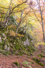  Autumn landscape in a Spanish location