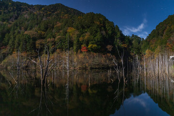 月光に照らされた自然湖の紅葉