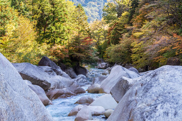 紅葉の阿寺渓谷