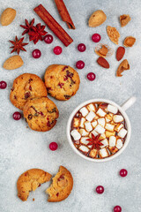 Hot chocolate (coffee, cocoa) with marshmallows in a white Cup and homemade cookies with cranberries, almonds and spices (cinnamon, star anise, cardamom, cloves). A traditional winter or autumn treat