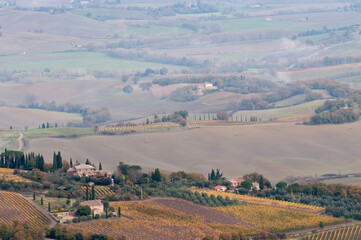 Fototapeta na wymiar Landscape near Montalcino, Tuscany, Italy.