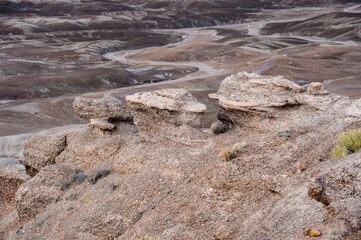 アリゾナ化石の森国立公園（Petrified Forest National Park）