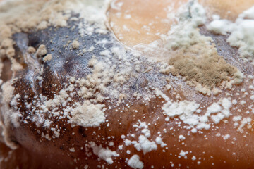 Background with white living mold on the fruit. Close-up in soft focus at high magnification.