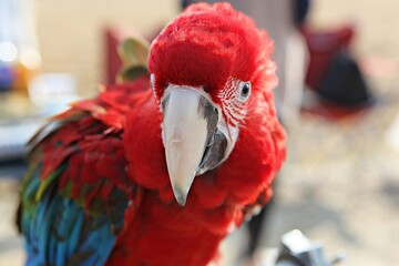 한국공원에서새동호회회원들을만나찍은사진입니다