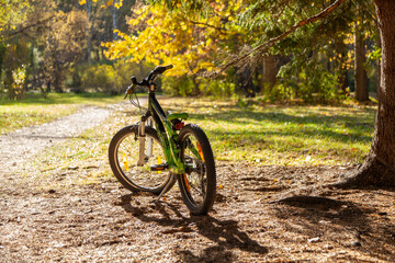 Fototapeta na wymiar The children's bike stands in the park in backlight against the background of golden trees.