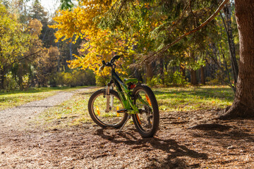 Fototapeta premium Children's mountain bike stands on the lawn in the park. Against the background of golden autumn trees.