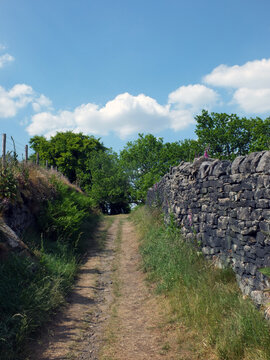 a narrow country lane running up a hill surrounded by stone walls and fences with grass and ferns