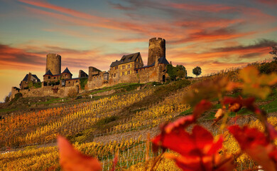 Weinberge Alken an der Mosel mit Burg