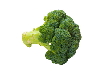 Fresh tasty broccoli isolated on white background.