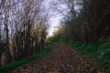 Camino Aguas de Fontanales en Gran Canaria