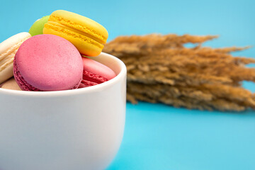 French multicolored macaroons in a white teacup. Dessert.