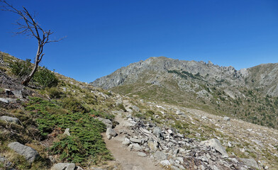 Le GR 20 jusqu'au Col de Verde en Corse